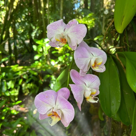 Meet your Posher, Maria - Picture 6 of 6